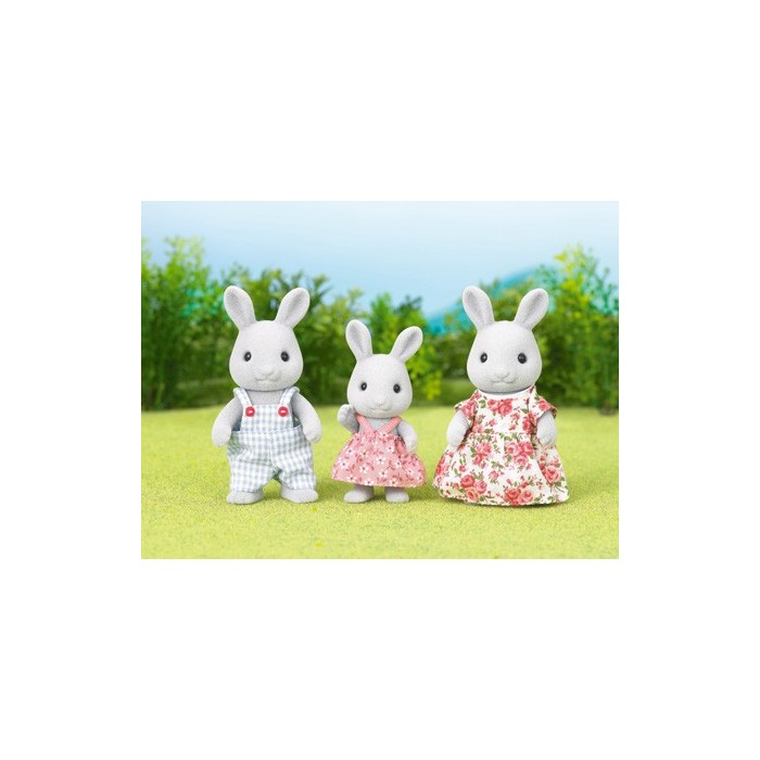 Rabbit Family 1905